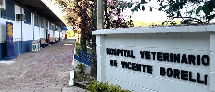 hospitalveterinario-4