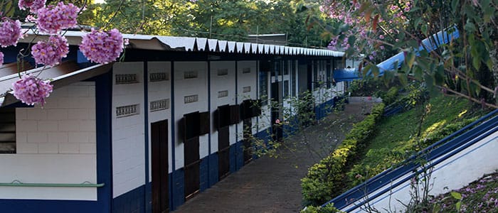 hospitalveterinario-5