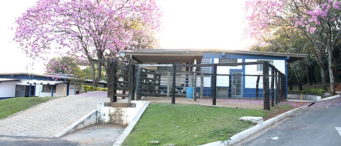 hospitalveterinario-6